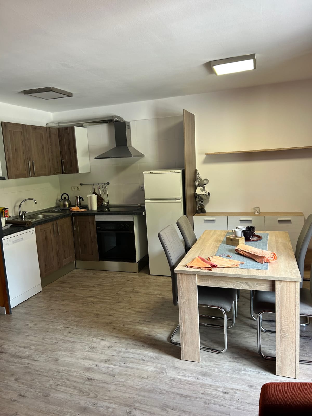 Apartament 2 habitacions 4-5 pax | Apartamentos els Arenys de Boí